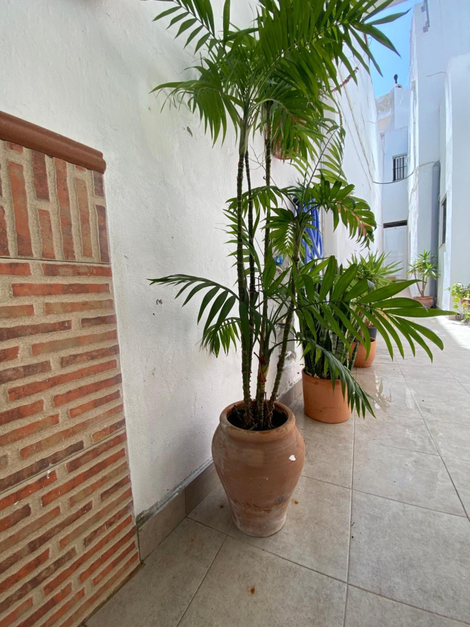וחר דה לה פרונטרה Casa Calle מראה חיצוני תמונה